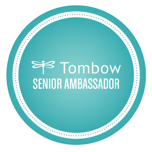 Senior-Ambassador_IG